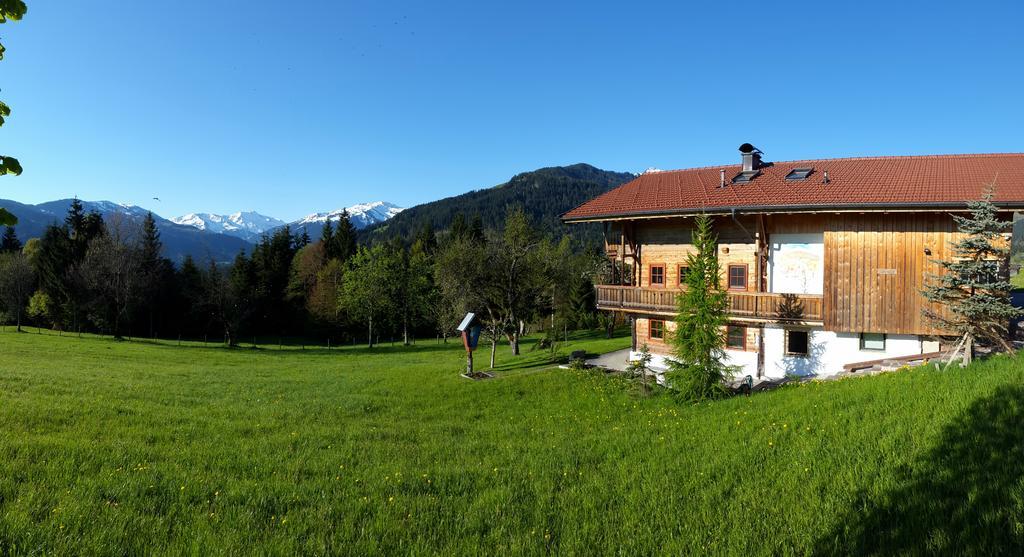 Schrandl Apartment Penningberg Хопфгартен-им-Бриксенталь Экстерьер фото